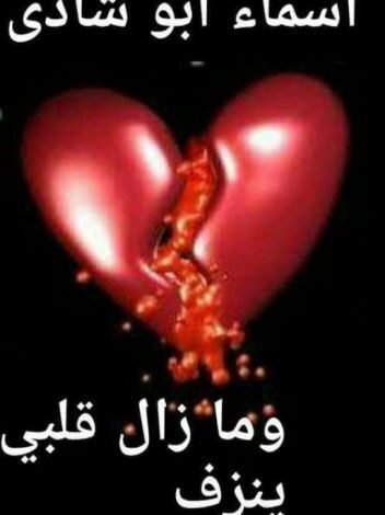رواية( ومازال قلبي ينزف) الفصل الواحد والعشرين 12 181550201 352 k667052