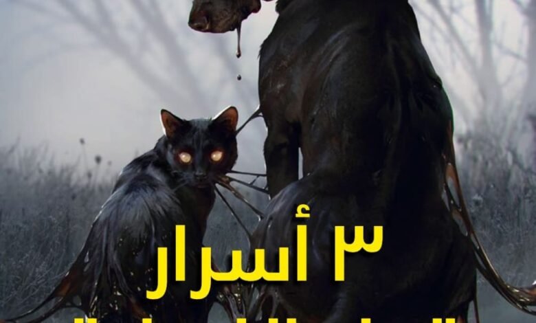 قصه 3 اسرار قبل النهاية 10 278643791 5427353643943589 4929515855314986308 n