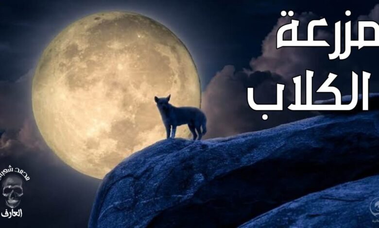 قصه مزرعة الكلاب كامله 12 286717980 10225674323639159 1076112636720905126 n