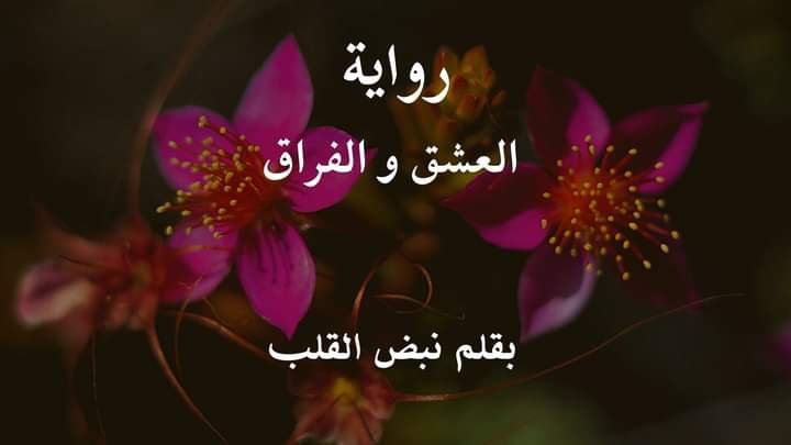 رواية العشق والفراق الفصل السابع عشر 17 بقلم نبض القلب 13 FB IMG 1637541691938