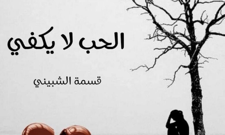رواية الحب لا يكفي الفصل الثاني 12 313032071 5968706163140761 8117556135881105817 n